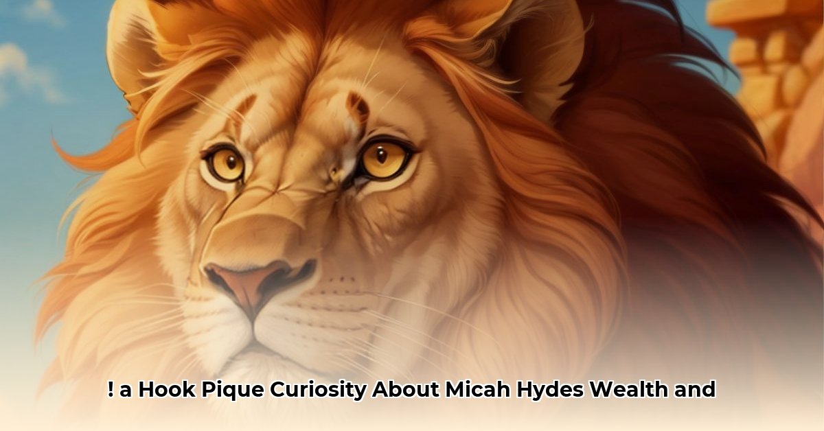 micah-hyde-net-worth